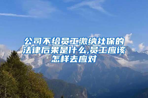 公司不给员工缴纳社保的法律后果是什么,员工应该怎样去应对