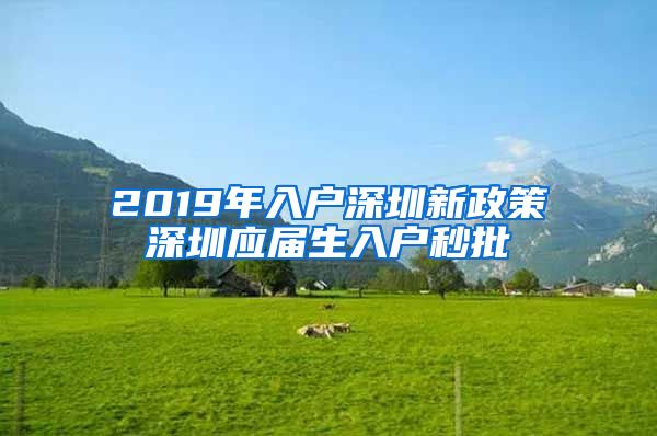 2019年入户深圳新政策深圳应届生入户秒批