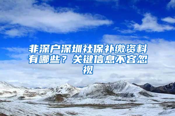 非深户深圳社保补缴资料有哪些？关键信息不容忽视