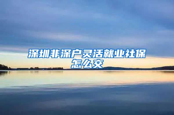 深圳非深户灵活就业社保怎么交