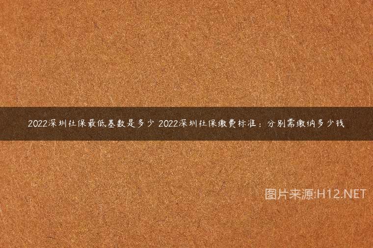 2022深圳社保最低基数是多少 2022深圳社保缴费标准：分别需缴纳多少钱