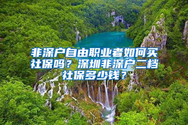 非深户自由职业者如何买社保吗？深圳非深户二档社保多少钱？