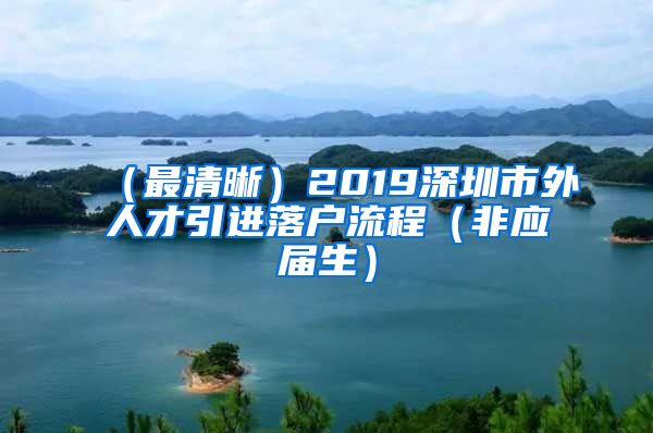 （最清晰）2019深圳市外人才引进落户流程（非应届生）