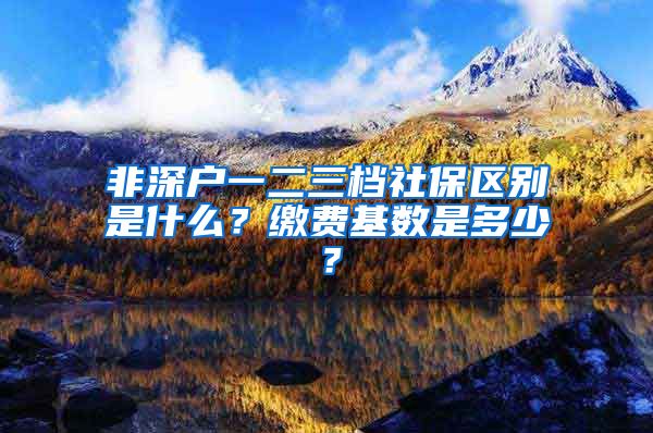 非深户一二三档社保区别是什么？缴费基数是多少？