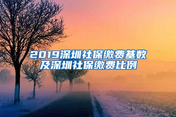 2019深圳社保缴费基数及深圳社保缴费比例