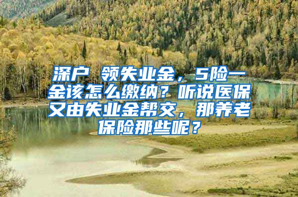 深户 领失业金，5险一金该怎么缴纳？听说医保又由失业金帮交，那养老保险那些呢？