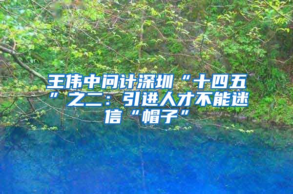 王伟中问计深圳“十四五”之二：引进人才不能迷信“帽子”