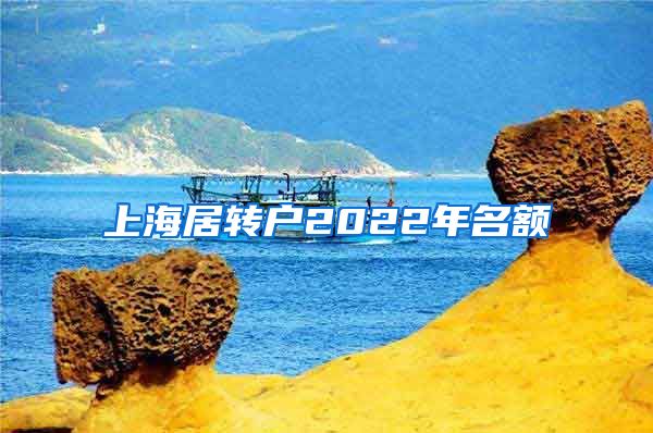 上海居转户2022年名额