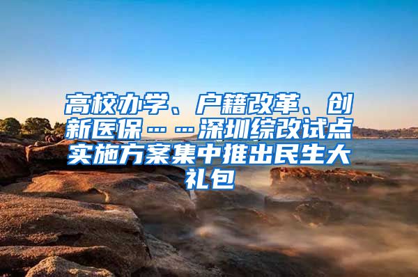 高校办学、户籍改革、创新医保……深圳综改试点实施方案集中推出民生大礼包