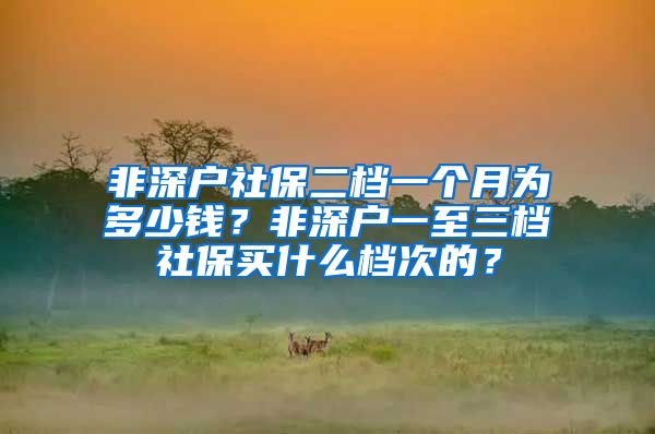 非深户社保二档一个月为多少钱？非深户一至三档社保买什么档次的？