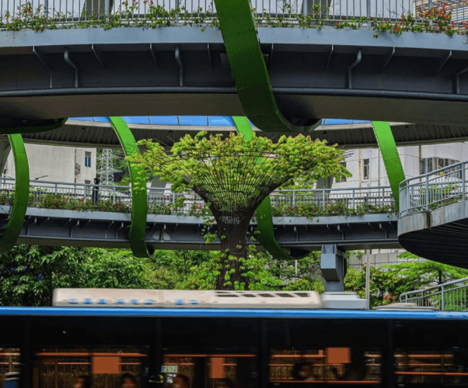 深圳居住证状态查询指南（附查询入口）