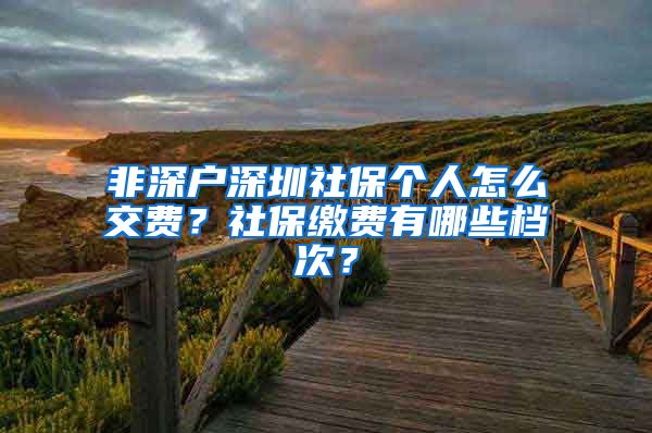 非深户深圳社保个人怎么交费？社保缴费有哪些档次？