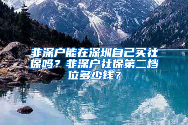 非深户能在深圳自己买社保吗？非深户社保第二档位多少钱？