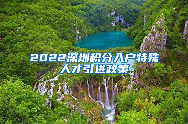 2022深圳积分入户特殊人才引进政策