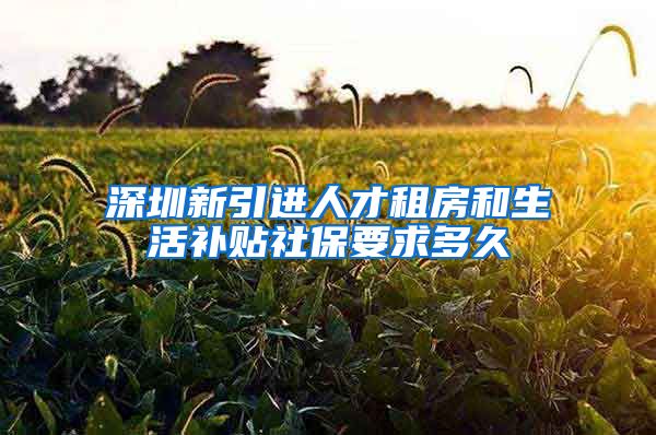 深圳新引进人才租房和生活补贴社保要求多久