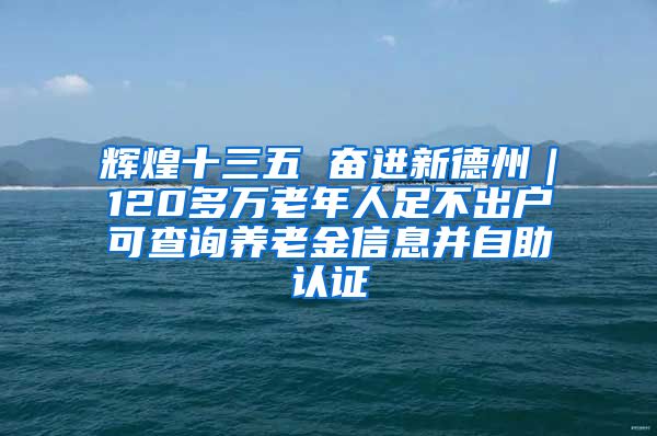 辉煌十三五 奋进新德州｜120多万老年人足不出户可查询养老金信息并自助认证