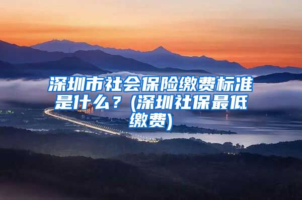 深圳市社会保险缴费标准是什么？(深圳社保最低缴费)