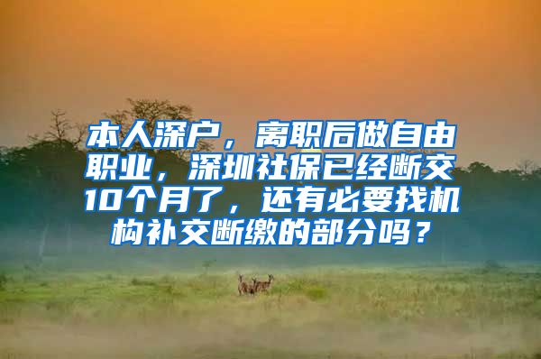 本人深户，离职后做自由职业，深圳社保已经断交10个月了，还有必要找机构补交断缴的部分吗？