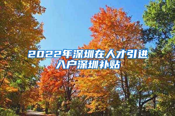 2022年深圳在人才引进入户深圳补贴