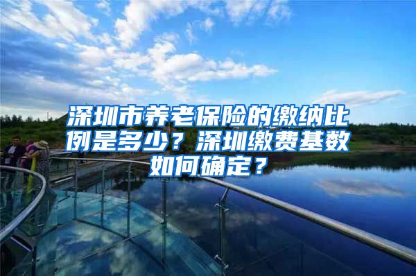 深圳市养老保险的缴纳比例是多少？深圳缴费基数如何确定？