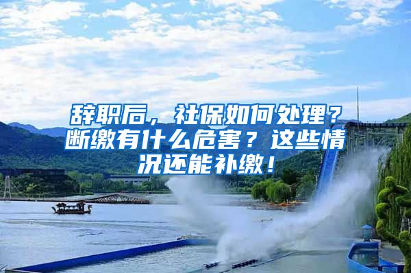 辞职后，社保如何处理？断缴有什么危害？这些情况还能补缴！