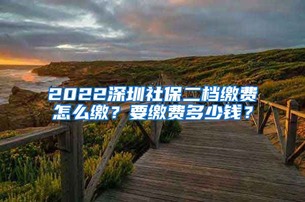 2022深圳社保二档缴费怎么缴？要缴费多少钱？