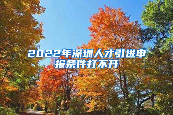 2022年深圳人才引进申报条件打不开