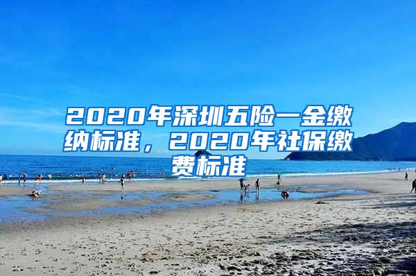 2020年深圳五险一金缴纳标准，2020年社保缴费标准