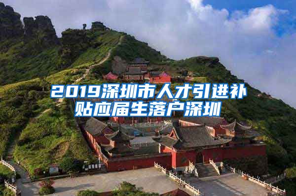 2019深圳市人才引进补贴应届生落户深圳