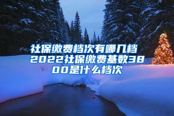 社保缴费档次有哪几档 2022社保缴费基数3800是什么档次