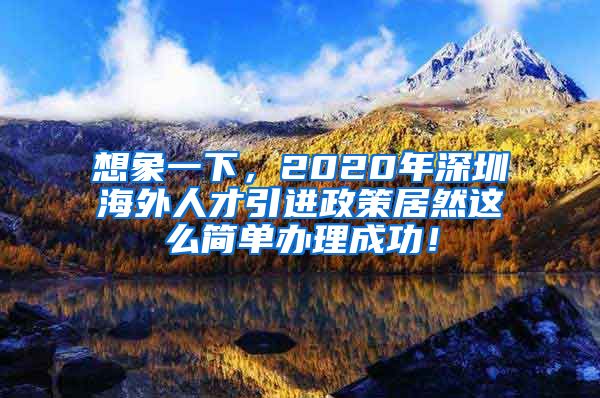 想象一下，2020年深圳海外人才引进政策居然这么简单办理成功！