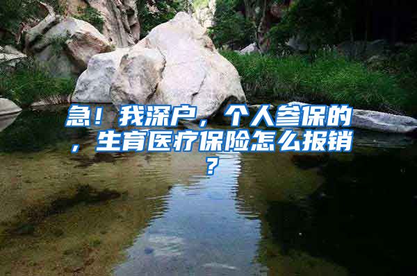 急！我深户，个人参保的，生育医疗保险怎么报销？