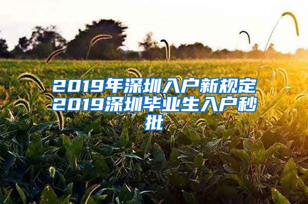 2019年深圳入户新规定2019深圳毕业生入户秒批