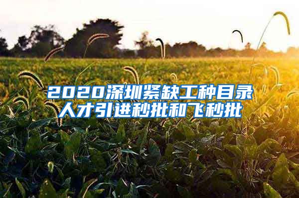 2020深圳紧缺工种目录人才引进秒批和飞秒批