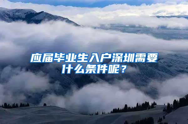 应届毕业生入户深圳需要什么条件呢？