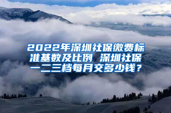 2022年深圳社保缴费标准基数及比例 深圳社保一二三档每月交多少钱？