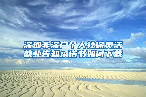 深圳非深户个人社保灵活就业告知承诺书如何下载