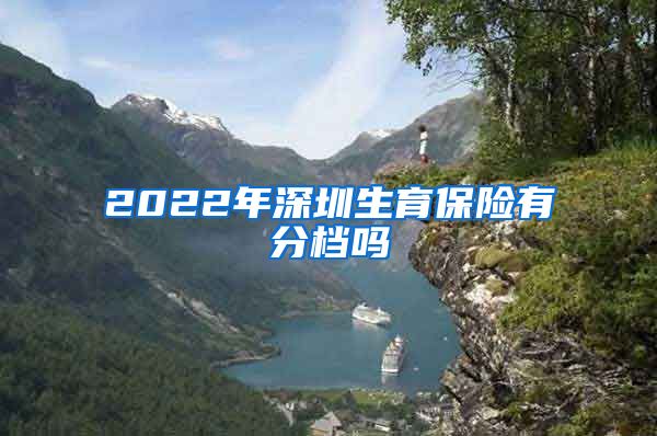 2022年深圳生育保险有分档吗