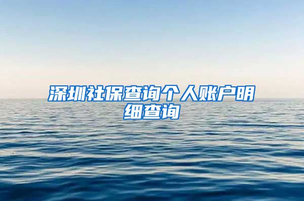 深圳社保查询个人账户明细查询