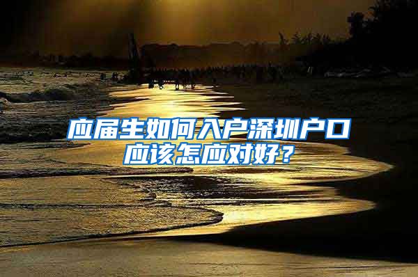 应届生如何入户深圳户口应该怎应对好？