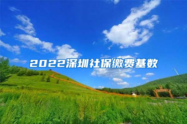 2022深圳社保缴费基数