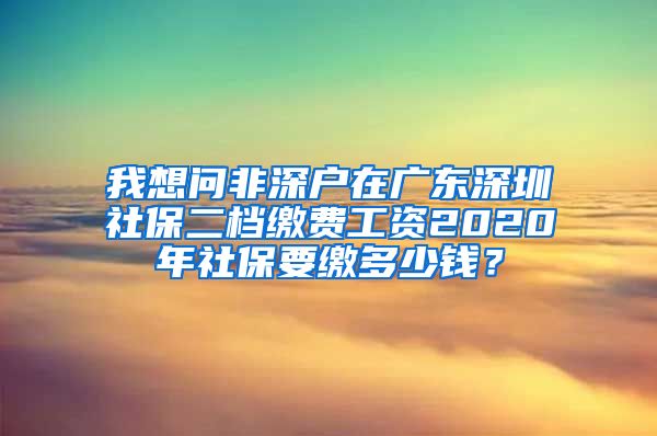 我想问非深户在广东深圳社保二档缴费工资2020年社保要缴多少钱？