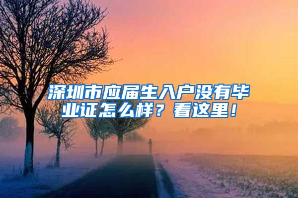 深圳市应届生入户没有毕业证怎么样？看这里！