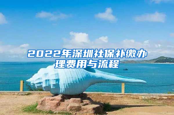 2022年深圳社保补缴办理费用与流程