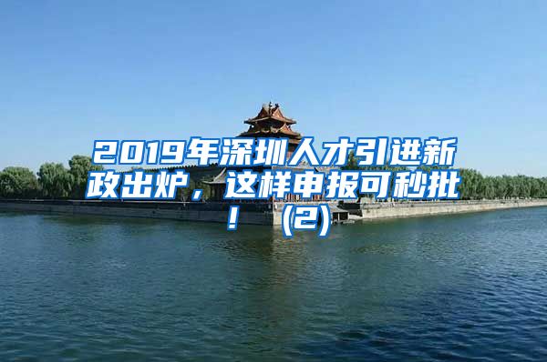 2019年深圳人才引进新政出炉，这样申报可秒批！ (2)