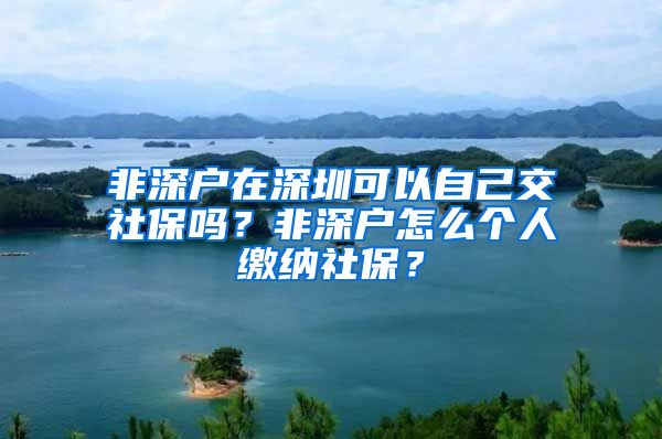 非深户在深圳可以自己交社保吗？非深户怎么个人缴纳社保？