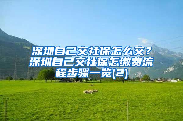 深圳自己交社保怎么交？深圳自己交社保怎缴费流程步骤一览(2)