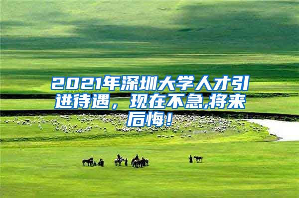 2021年深圳大学人才引进待遇，现在不急,将来后悔！