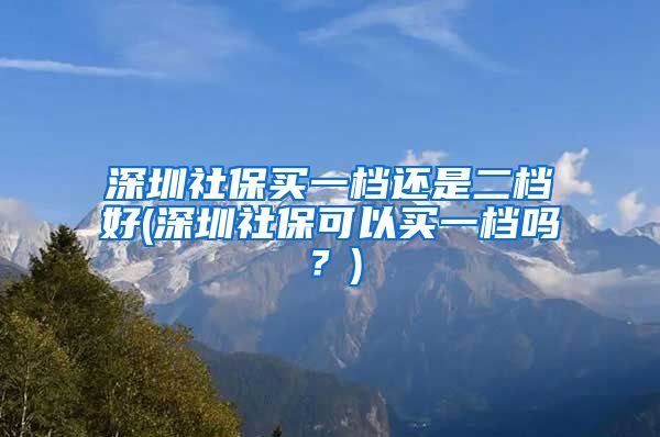 深圳社保买一档还是二档好(深圳社保可以买一档吗？)