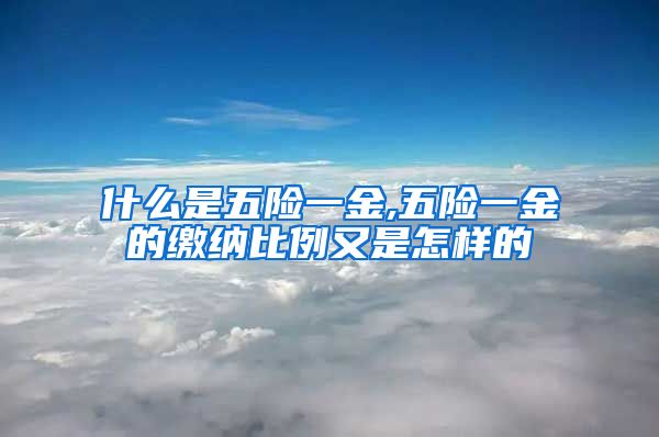 什么是五险一金,五险一金的缴纳比例又是怎样的